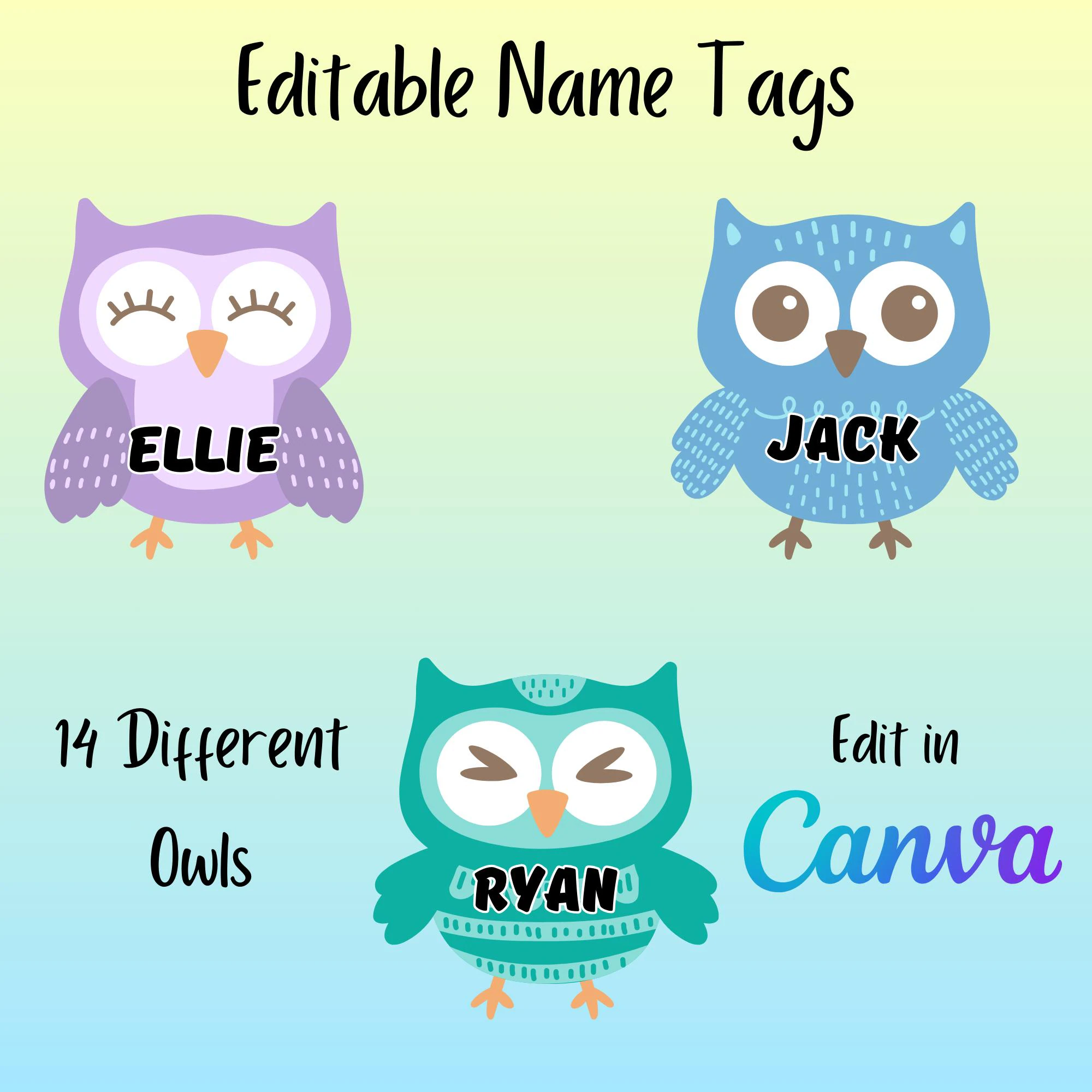 Owl Classroom Name Tags Owl Student Desk