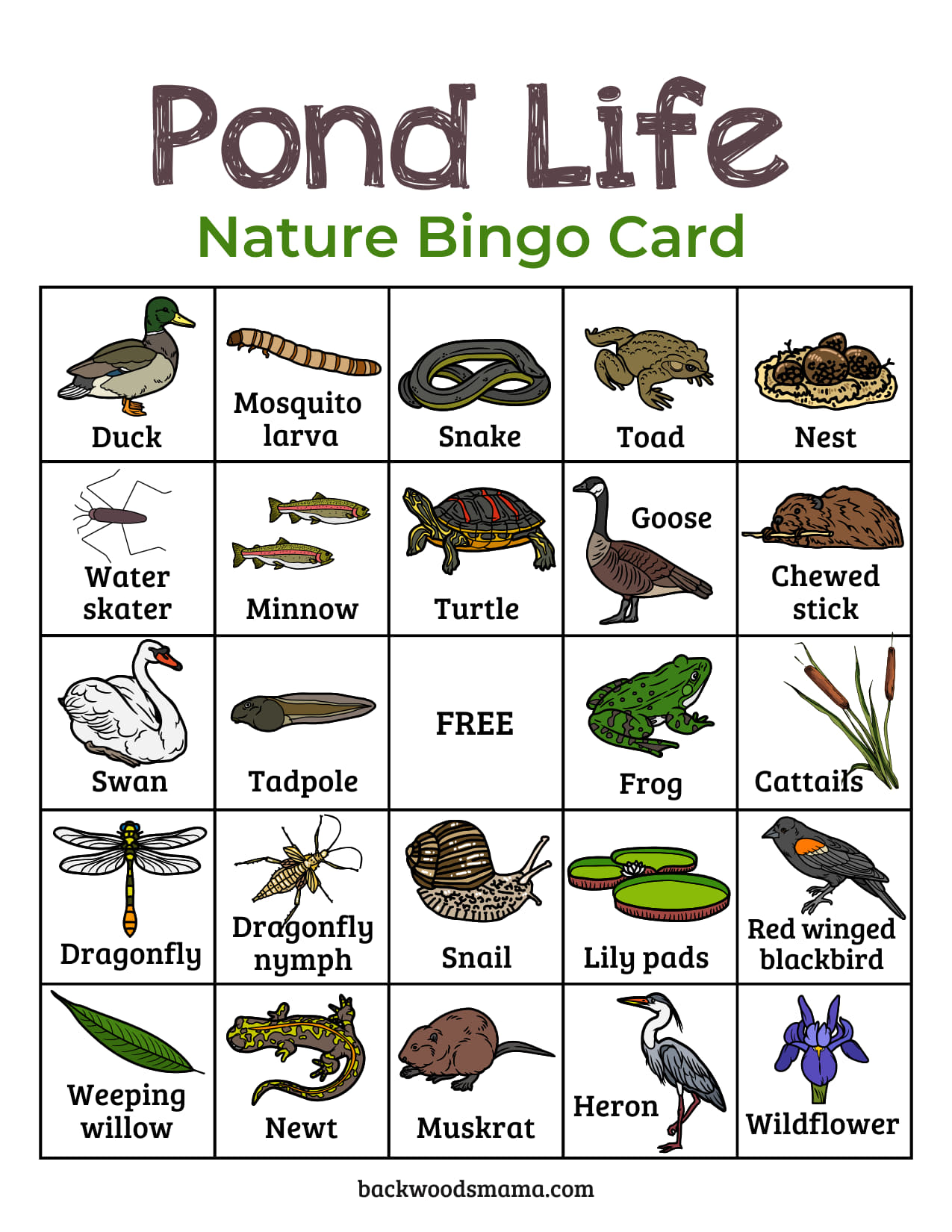 Pond Life Nature Bingo Cards Printable