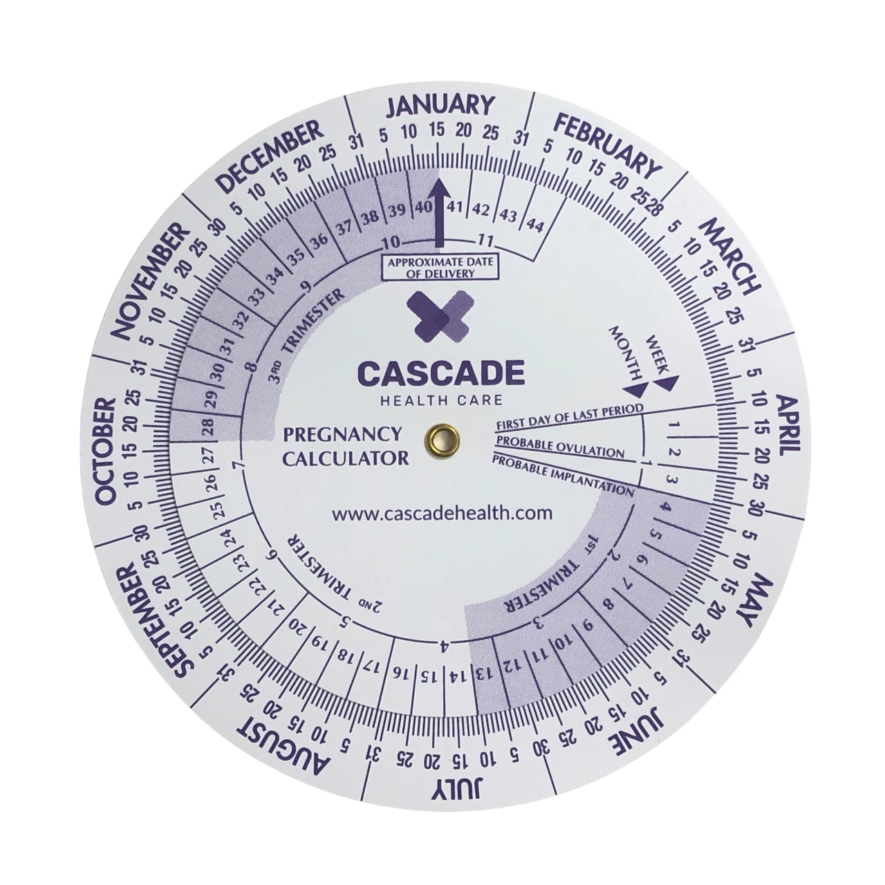 Pregnancy Calculator Wheel