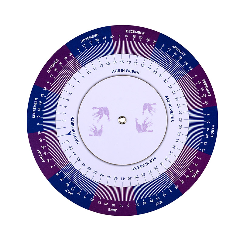 Pregnancy Wheel 191