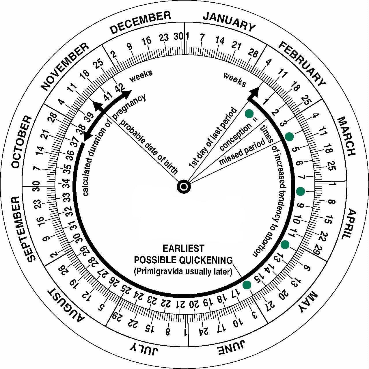 Pregnancy Wheel