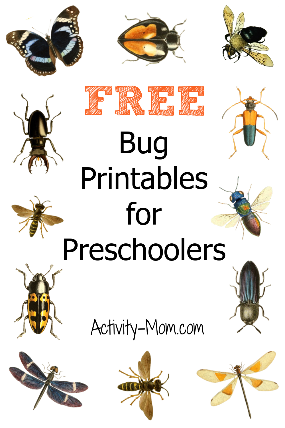 Preschool Insect Theme Printables Preschool Insect Theme Printables