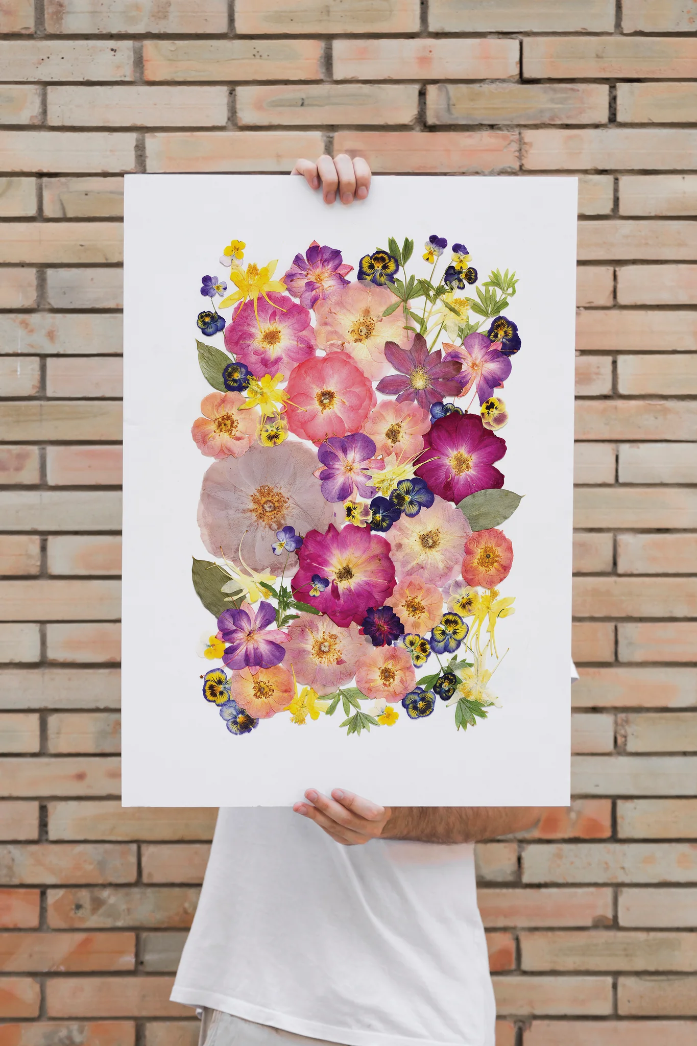 Pressed Flower Large Botanical Print 16 X 20 Natures Mosaic Pink Peony Copy Pressed Flower Large Botanical Print 16 X 20 Natures Mosaic Pink Peony Copy