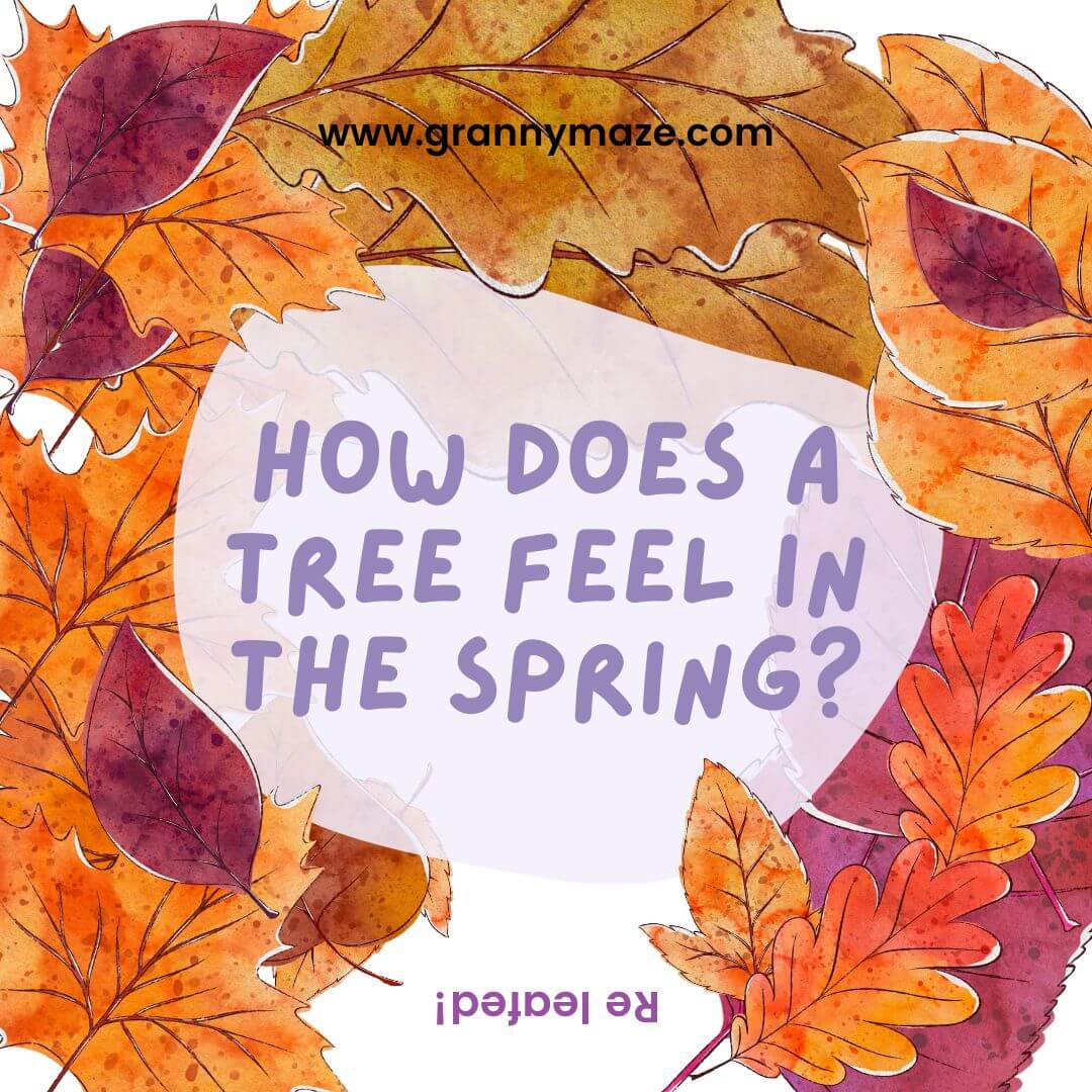 Printable Jokes For Seniors
