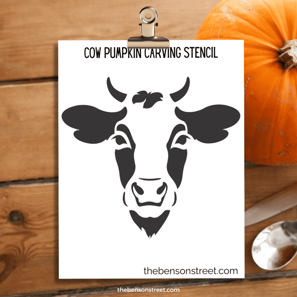 Product Similar Image