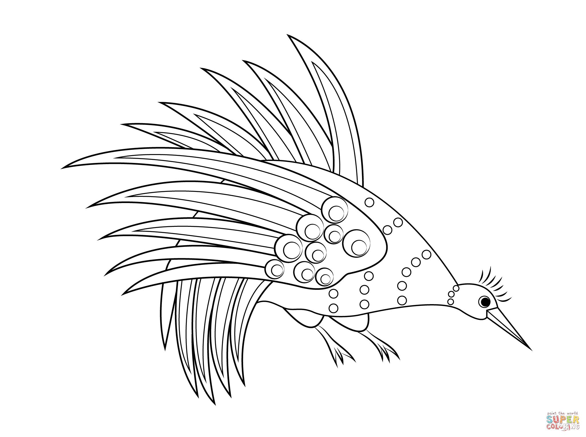 Rainbow Bowerbird Aboriginal Art