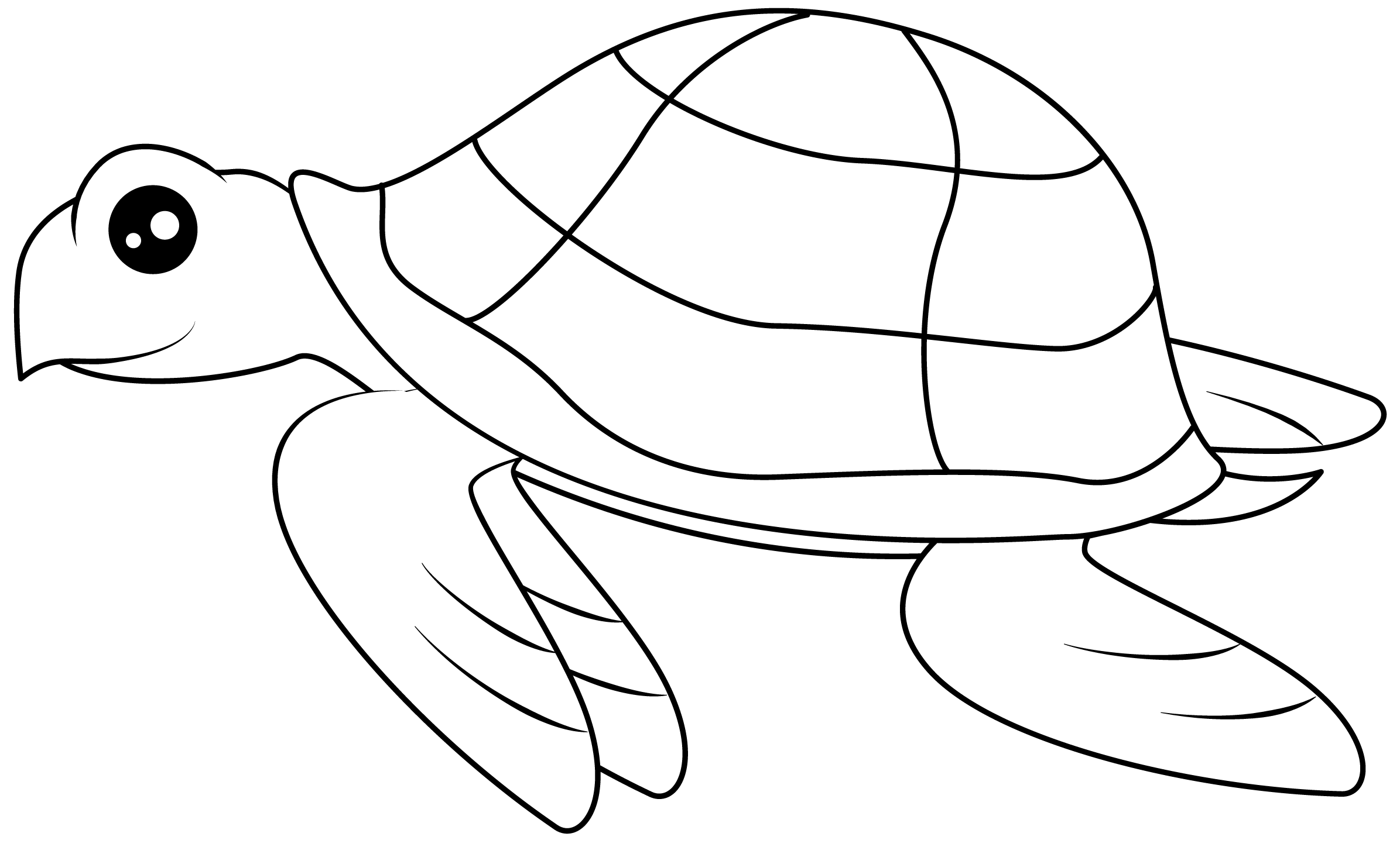 Sea Turtle Printable Template