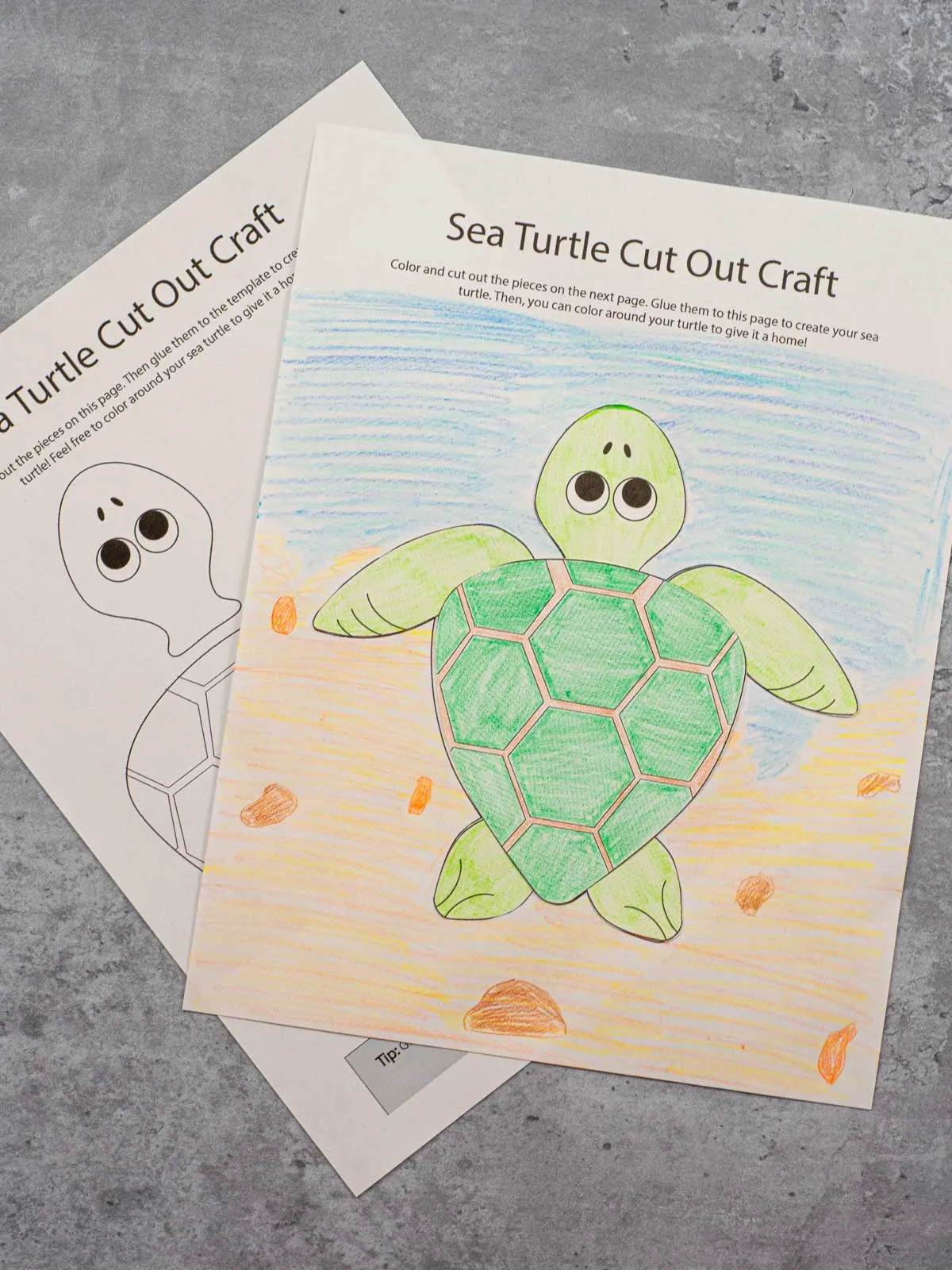 free printable sea turtle template