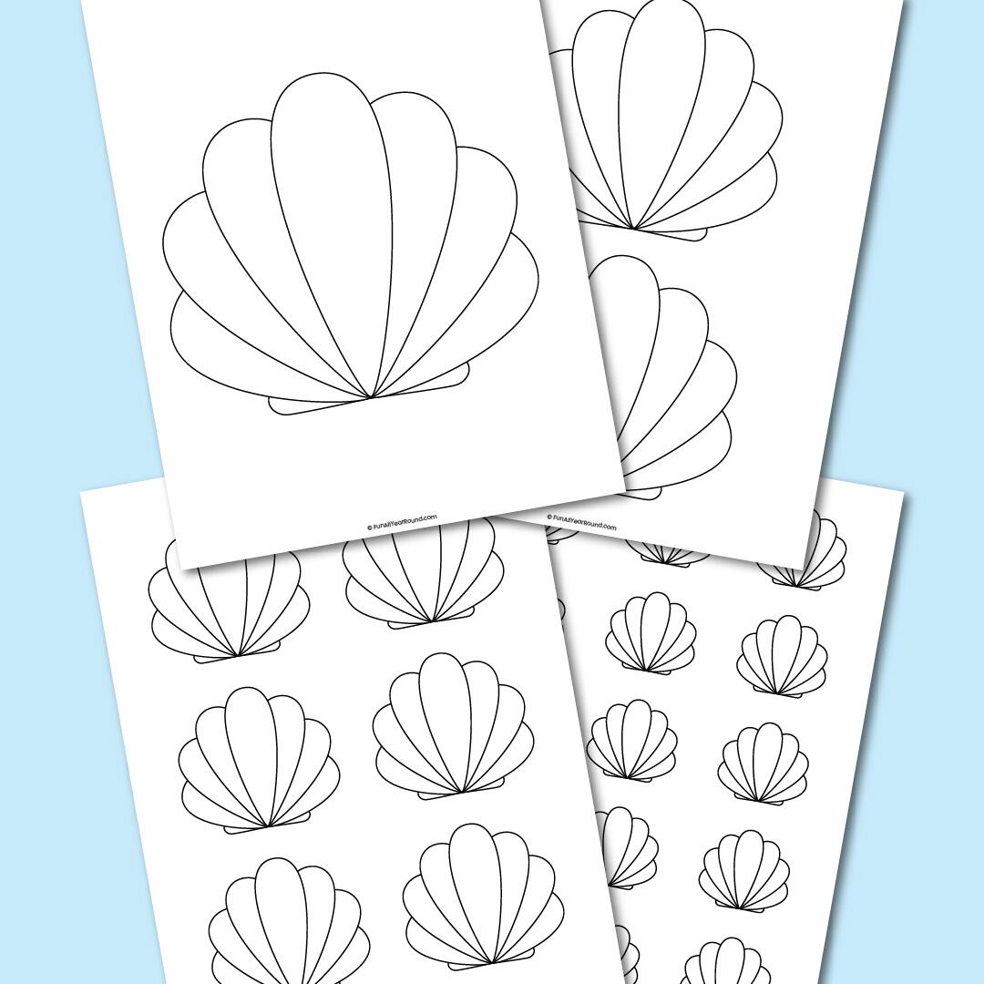 Seashell Template 158554