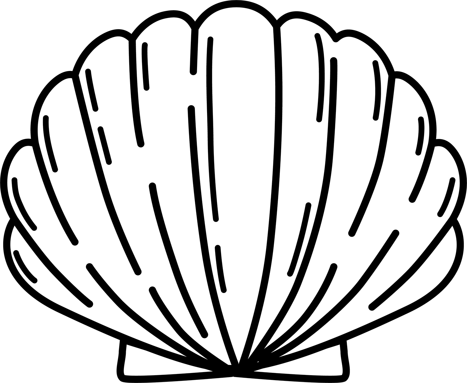 Seashell