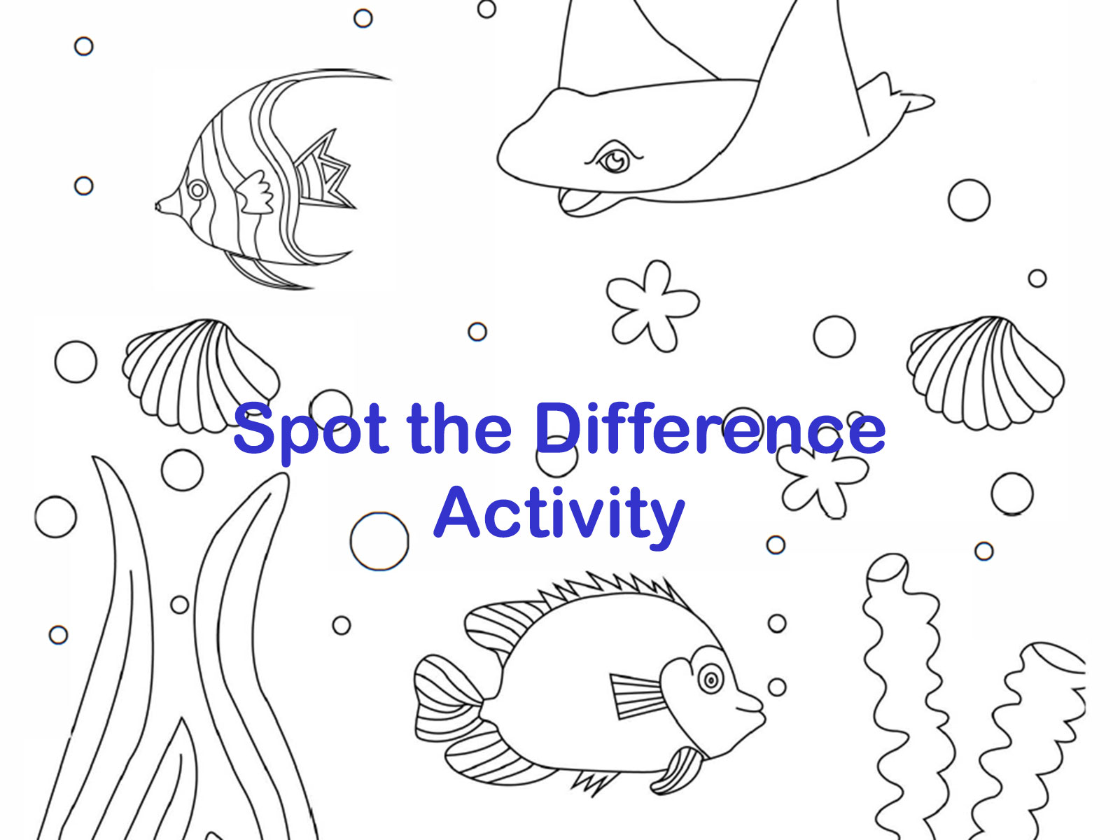 Spot The Difference