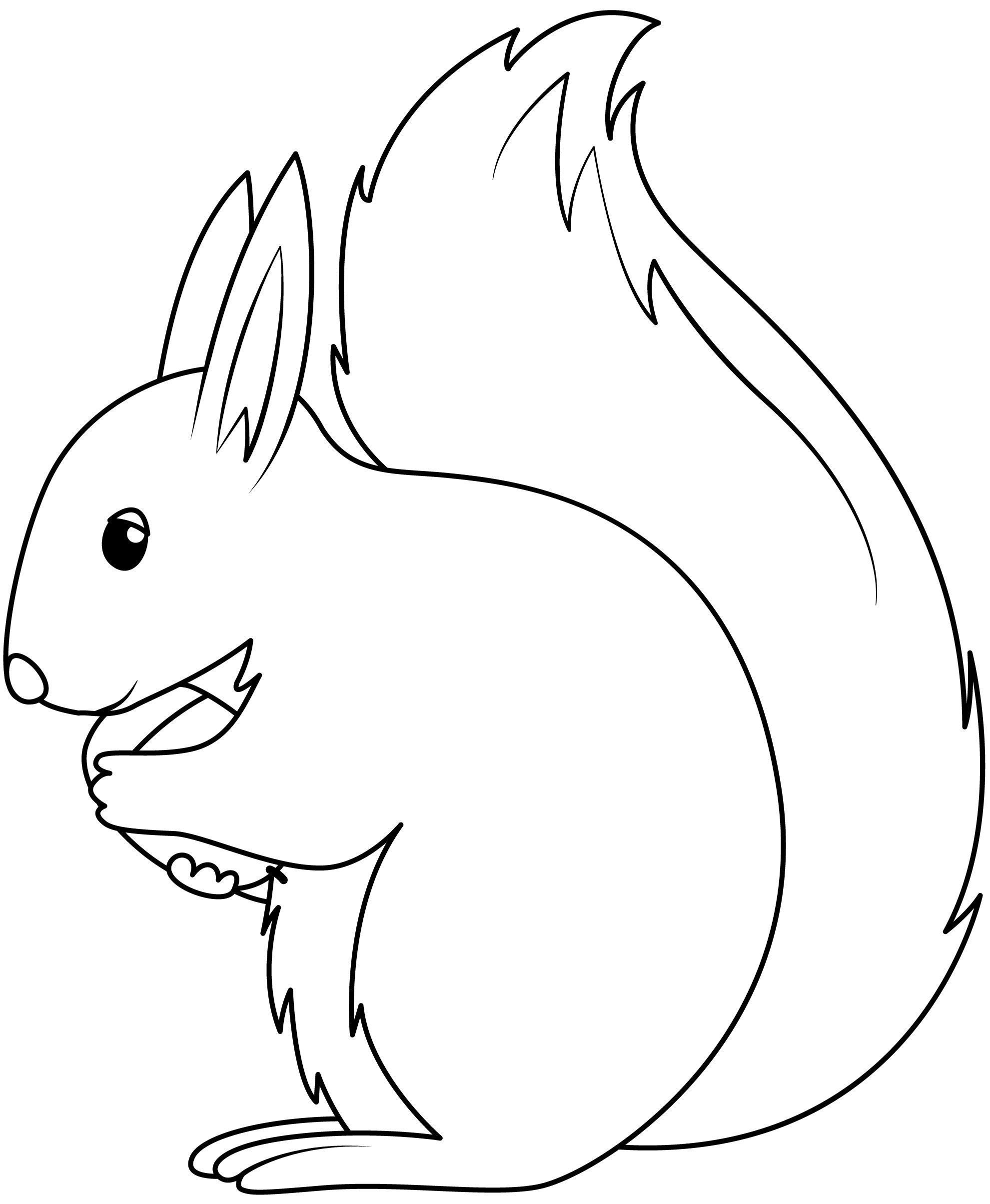 Squirrel Printable Template
