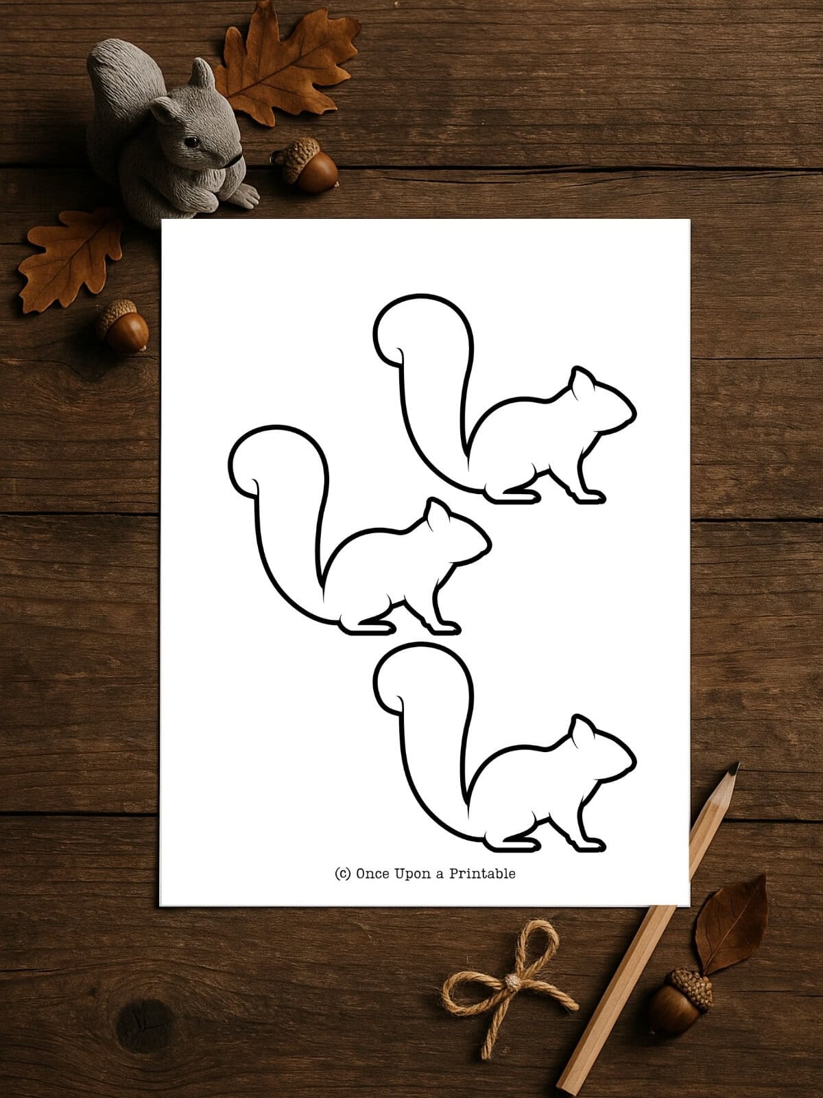 Squirrel Templates
