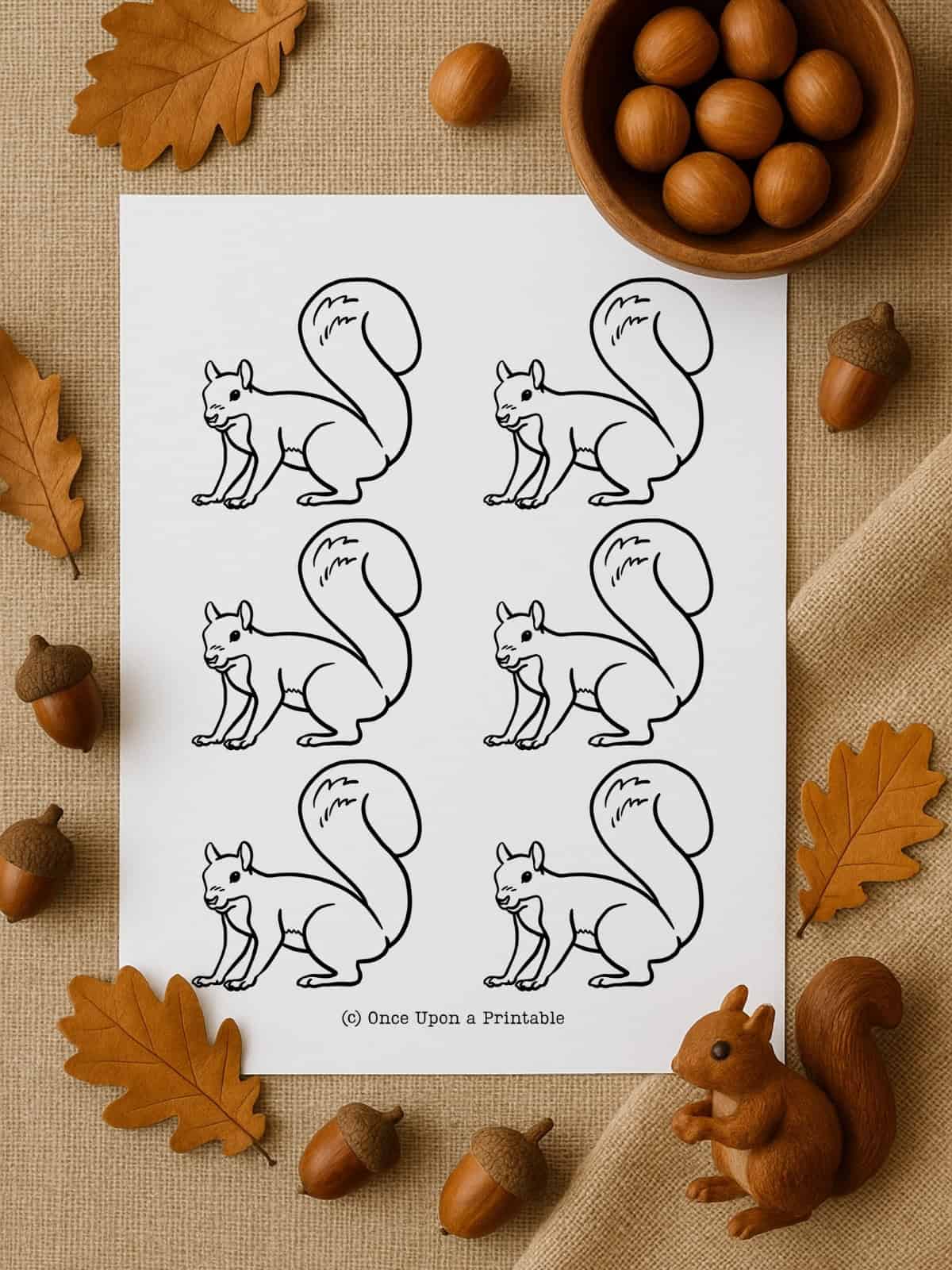 free squirrel pattern printable