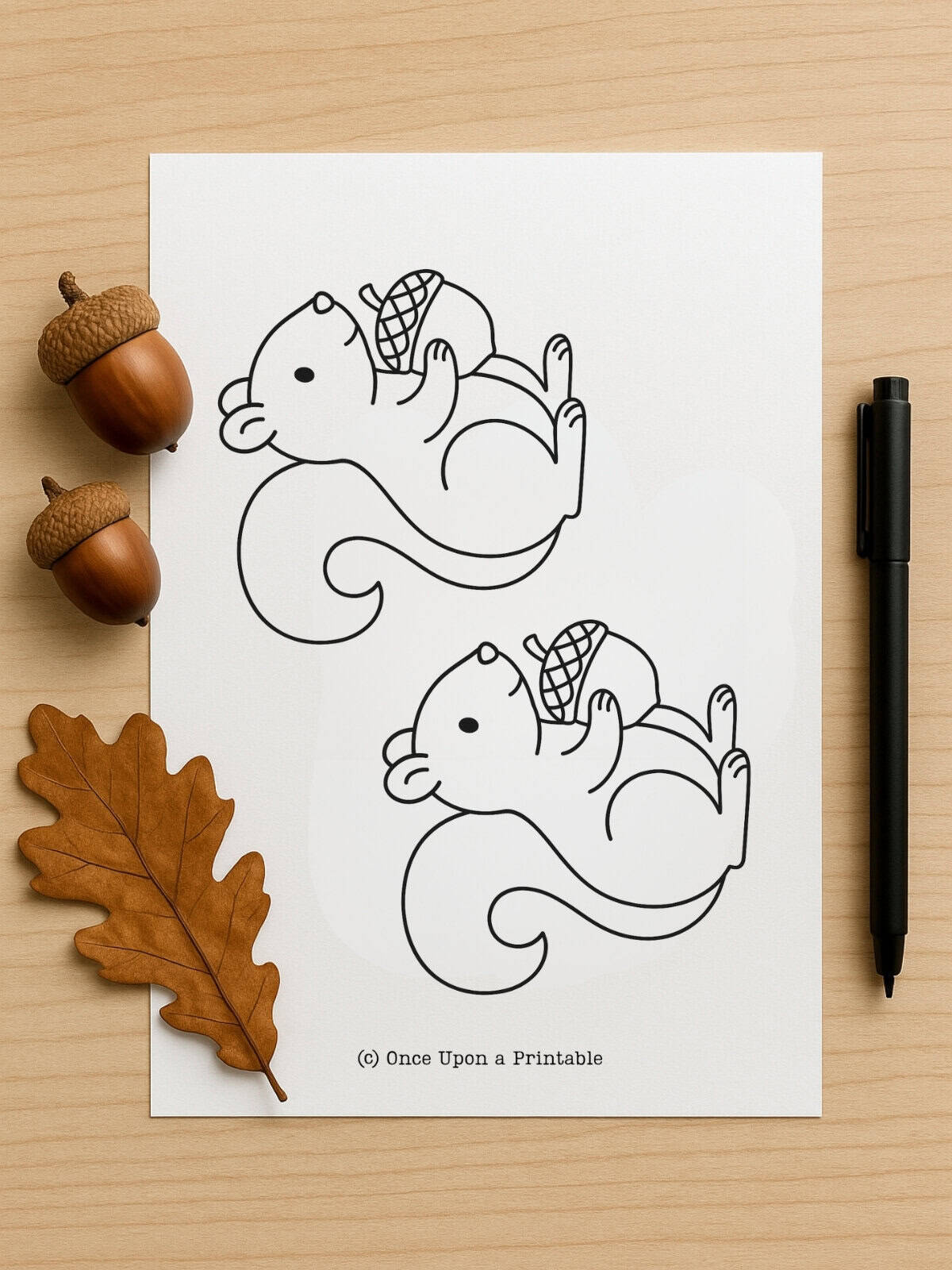 Squirrel Templates