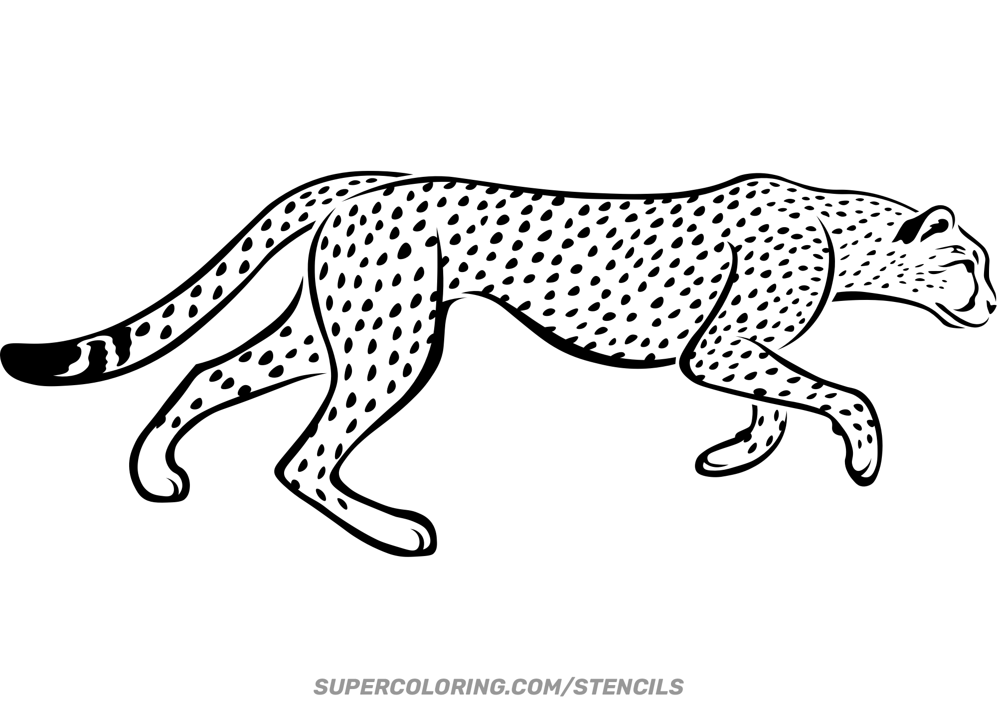 free printable cheetah print stencils