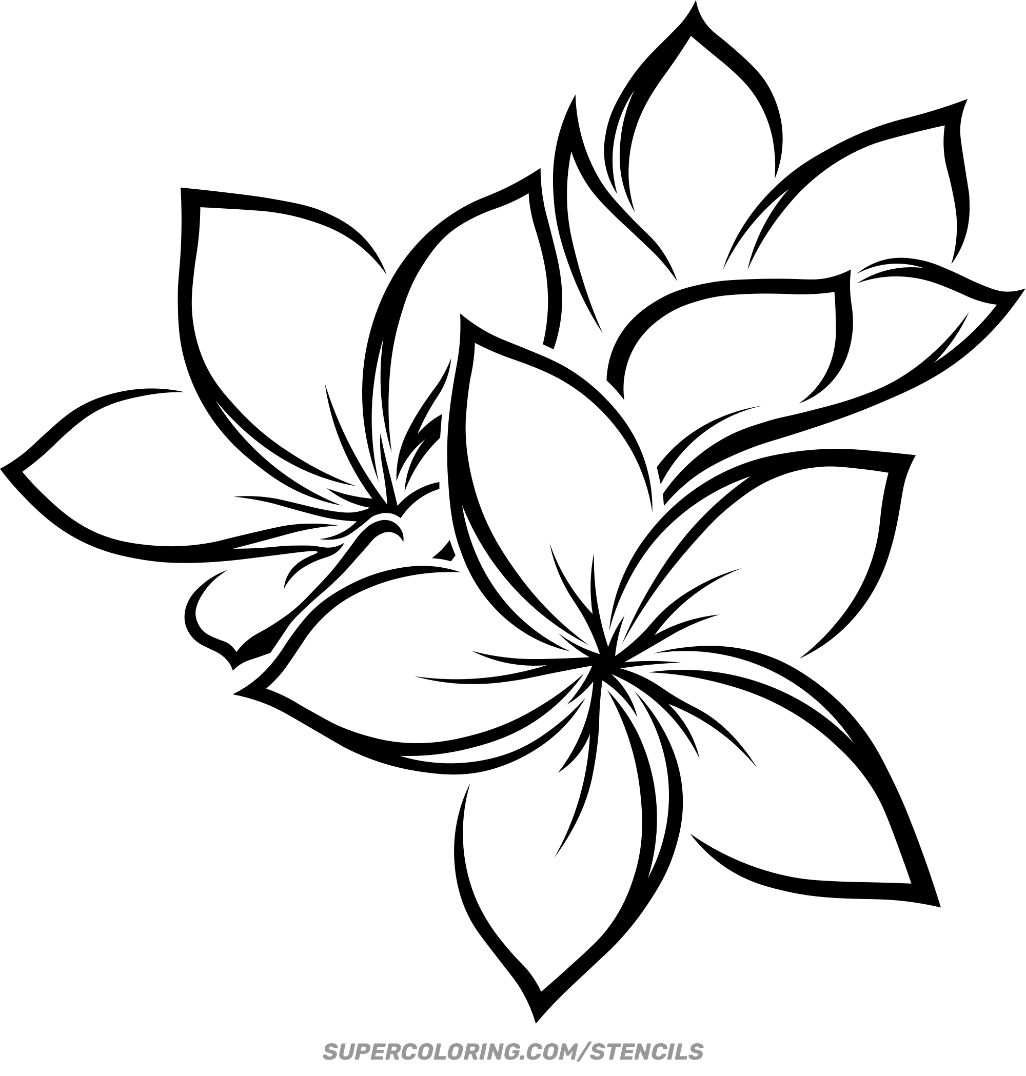 Stencil Of Hawaiian Flower