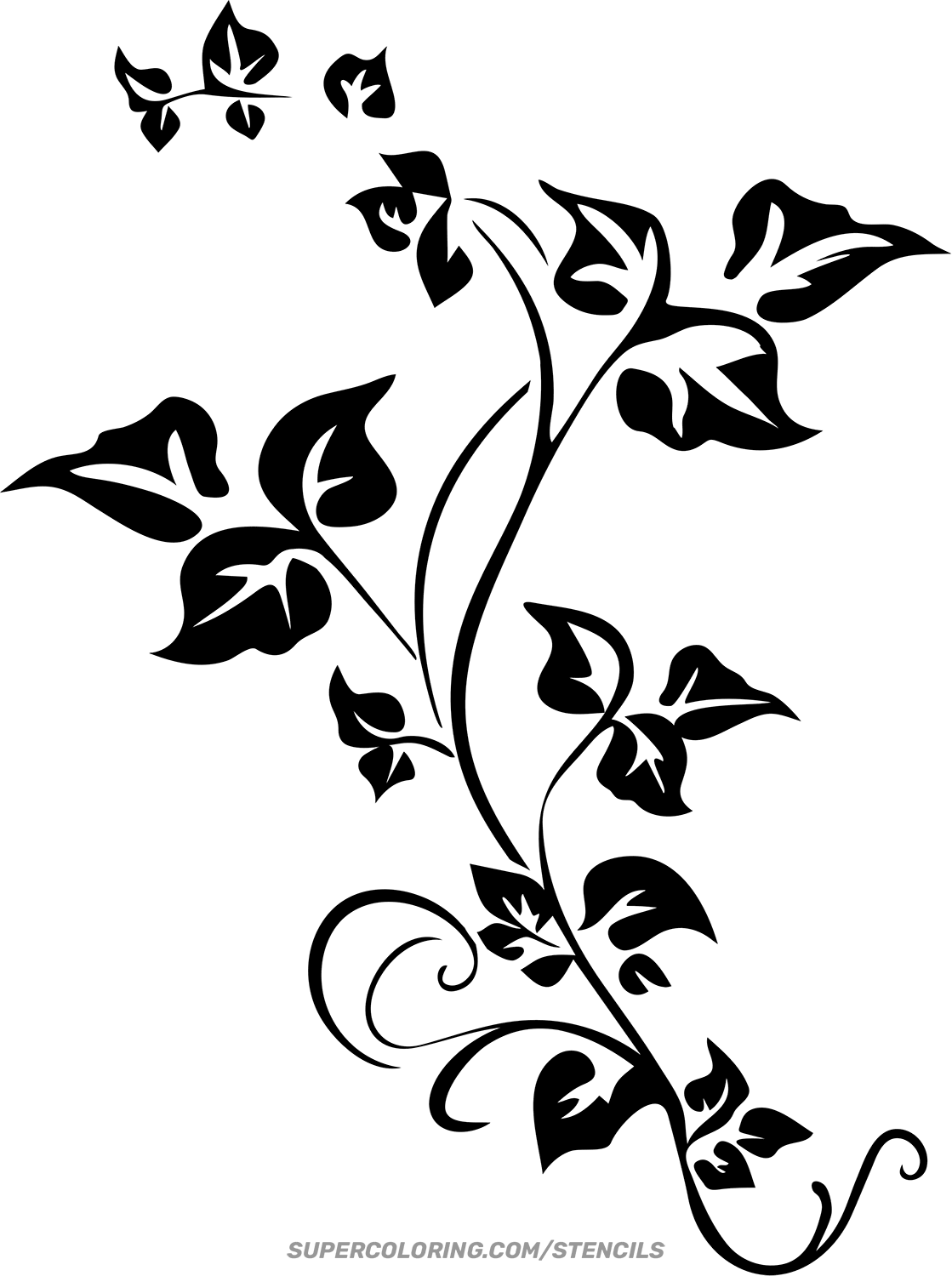 Stencil Of Ivy Branch Stencil Of Ivy Branch