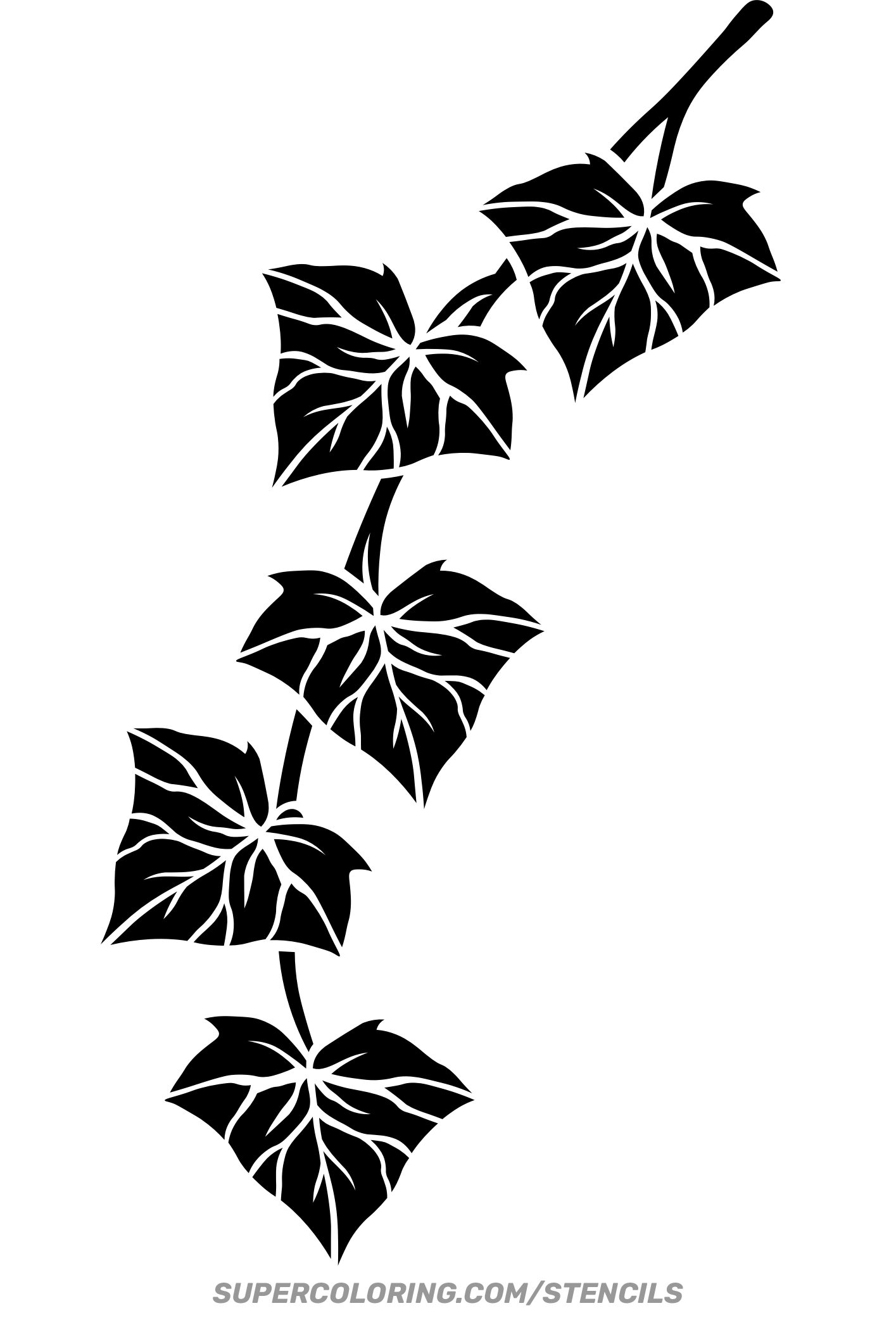 Stencil Of Ivy Leaves Stencil Of Ivy Leaves