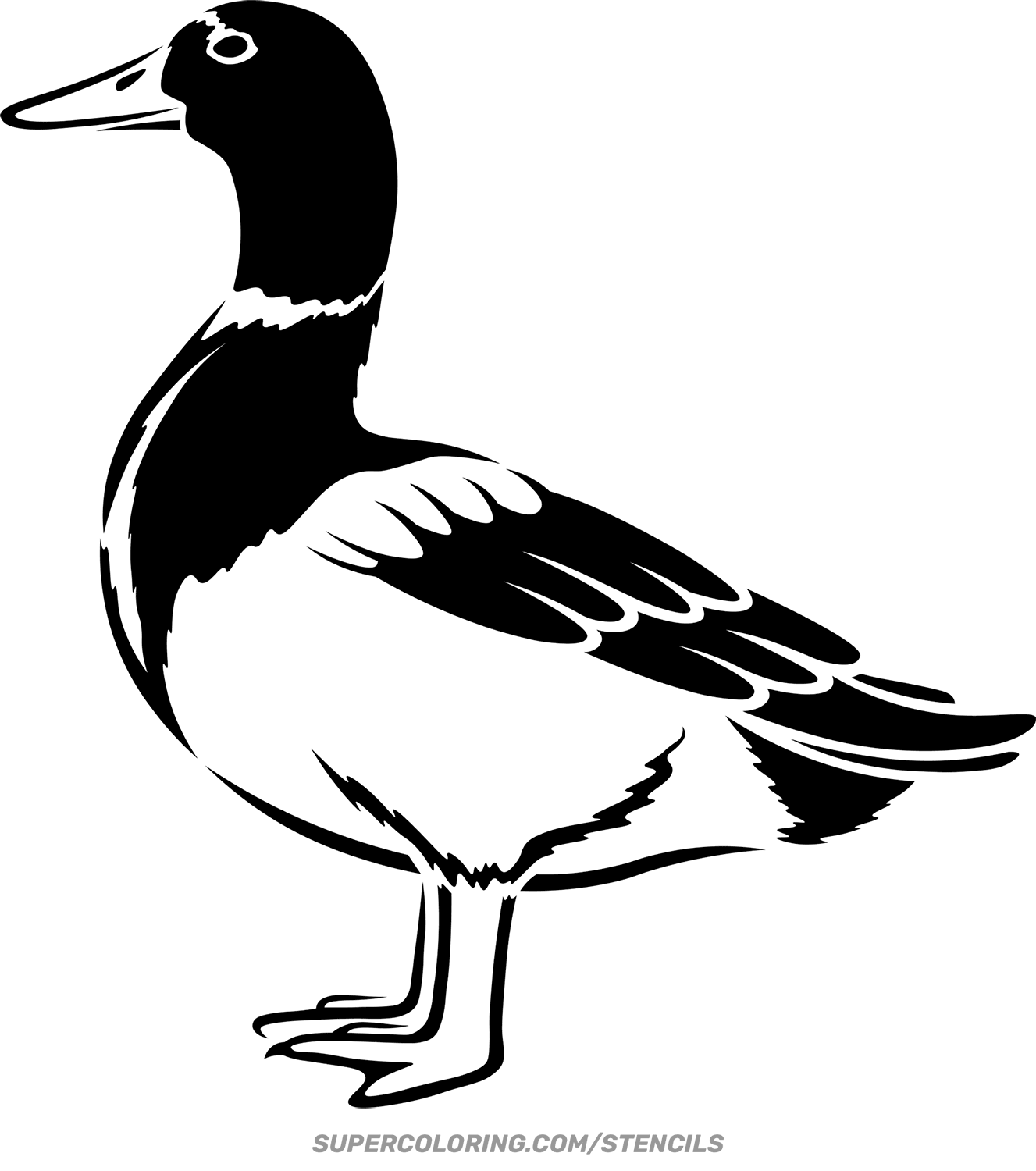 Stencil Of Mallard Duck Stencil Of Mallard Duck