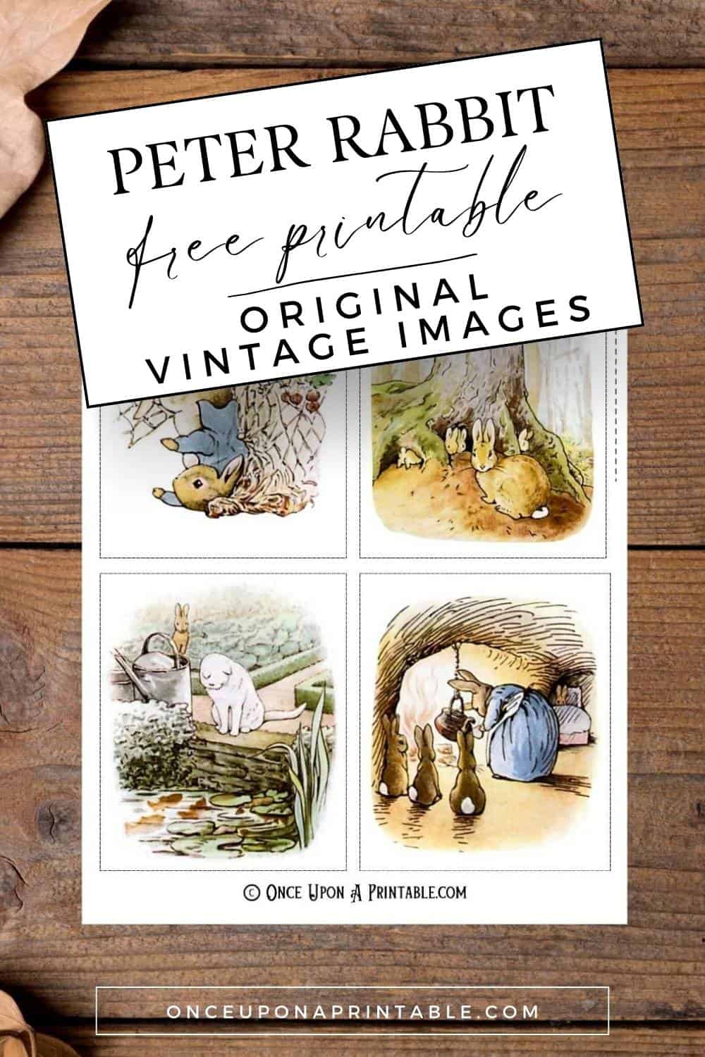 Tale Of Peter Rabbit Images