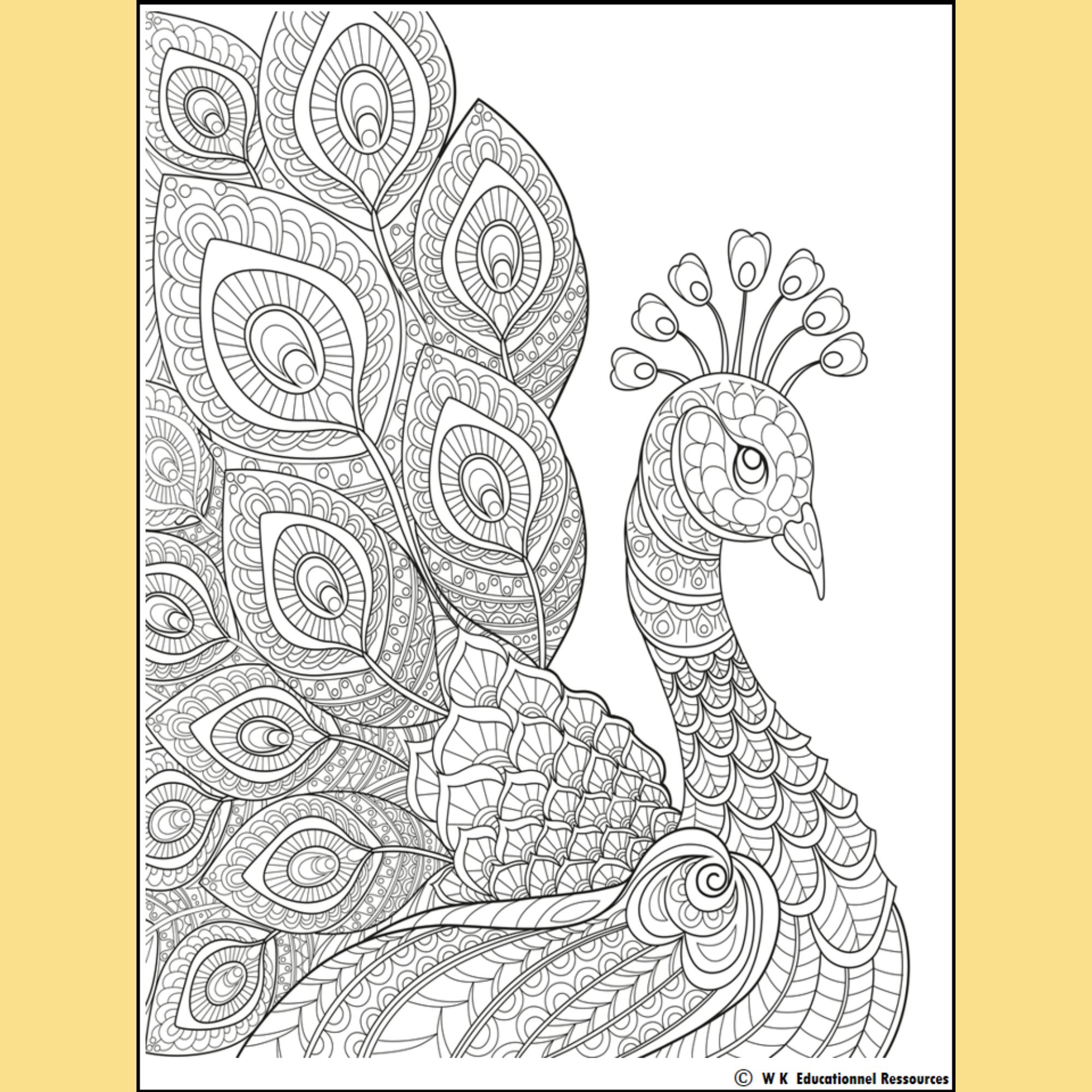 Thanksgiving Mindful Mandala Coloring Sheets Affirmation Cute Gratitude Messages Thanksgiving Mindful Mandala Coloring Sheets Affirmation Cute Gratitude Messages
