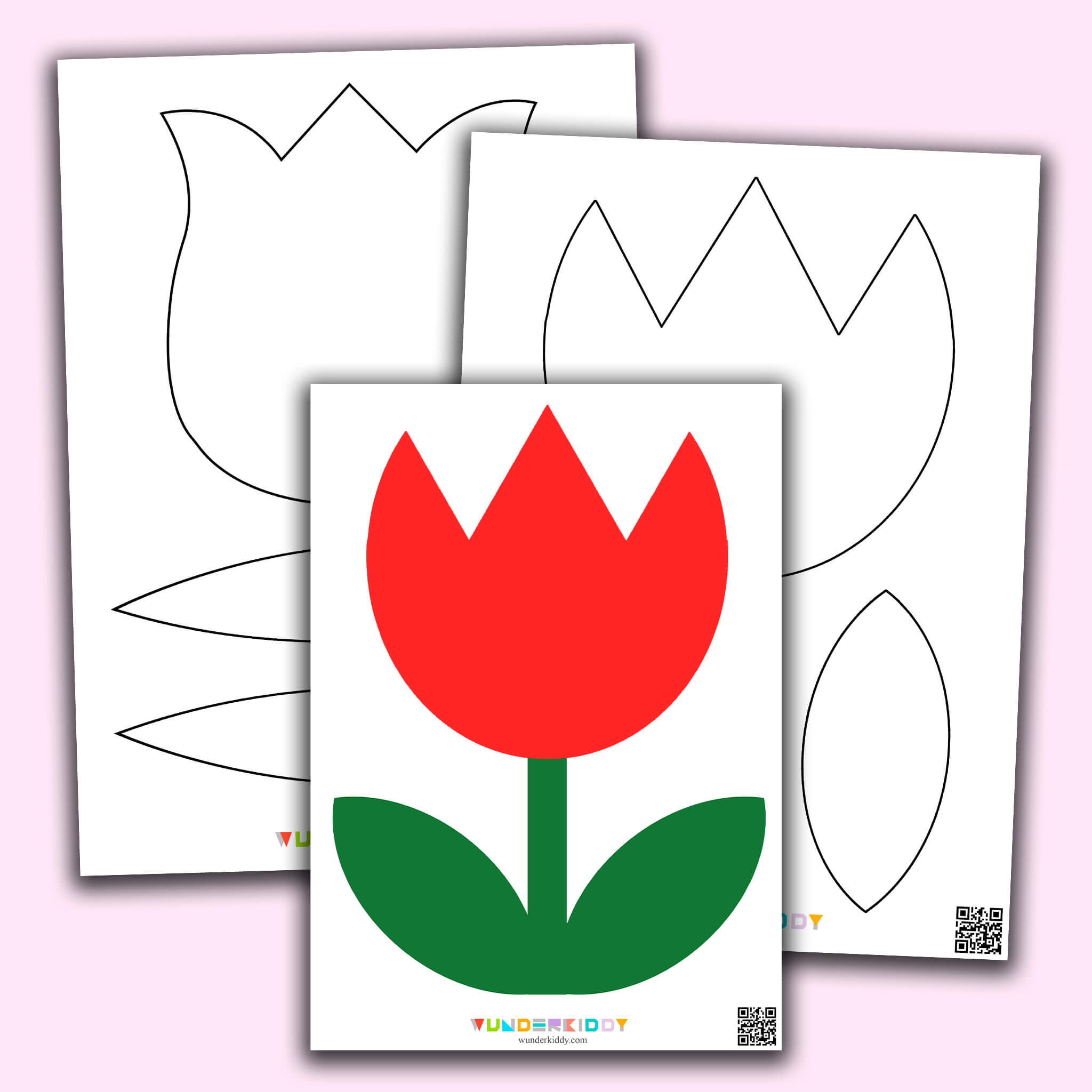 Tulip