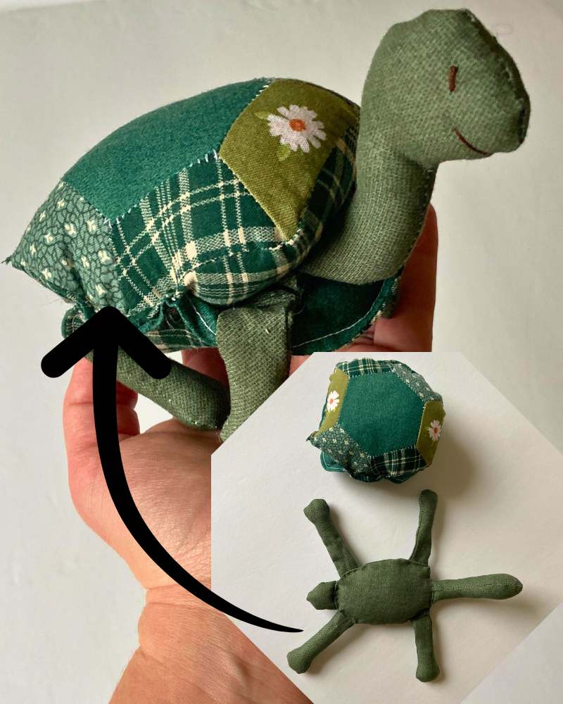 Turtle