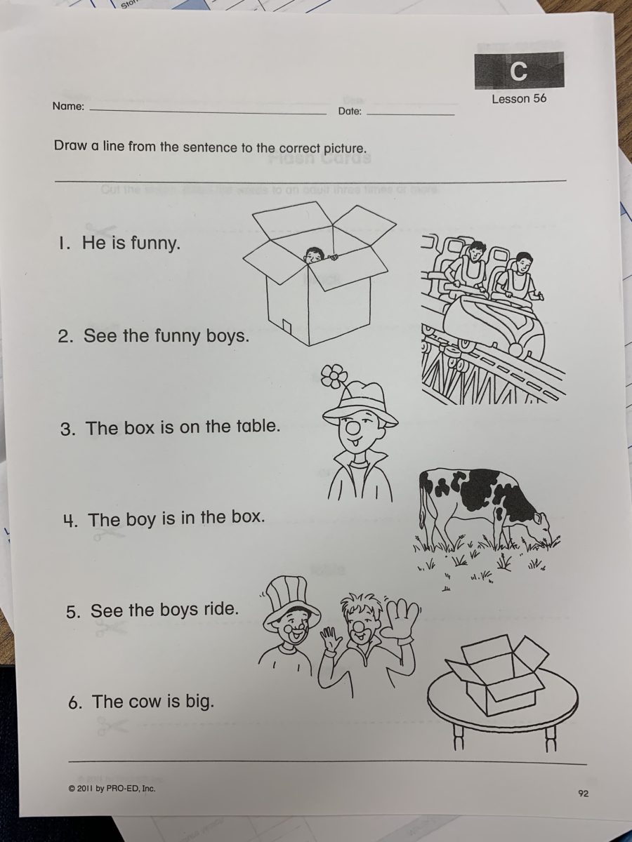 Using Edmark Reading Program