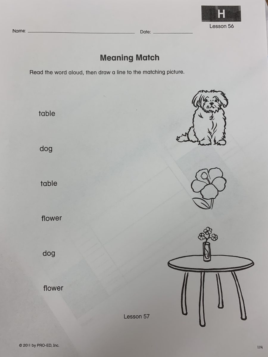 Using Edmark Reading Program